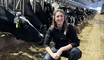 Woman crouching in a barn next to some black and white cows.